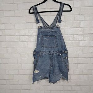 wild Fable jean overalls